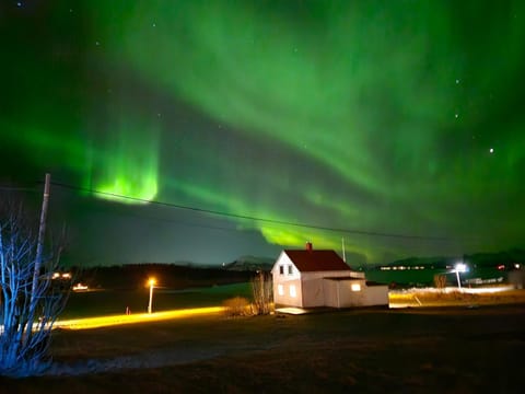 This Old House - Check in Breathe out House in Lofoten