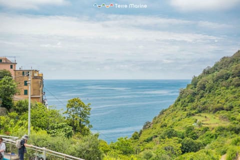 Life, TerreMarine Apartment in Corniglia