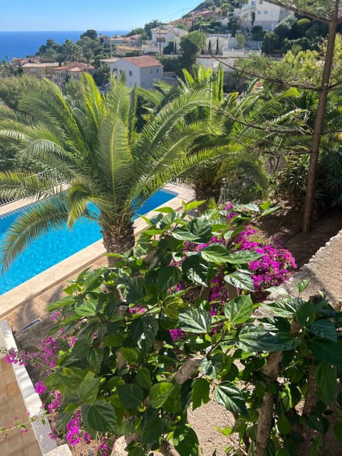 Property view