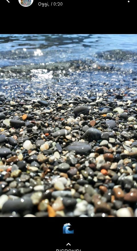 La Piccola Barca Apartment in Camogli
