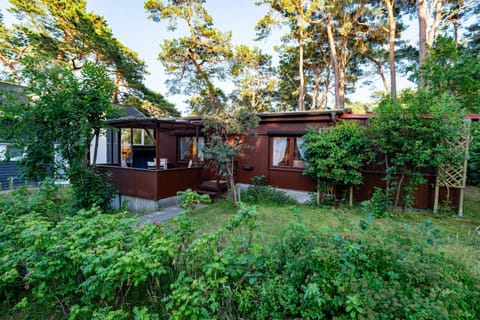 Property building, Garden view