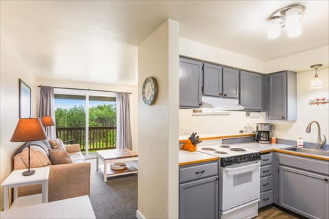 So Very Nice House in Ocean Shores