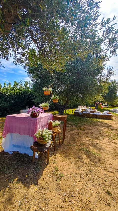 Agriturismo San Michele in Triglie Farm Stay in Province of Taranto