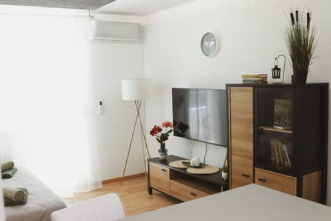 Living room, air conditioner