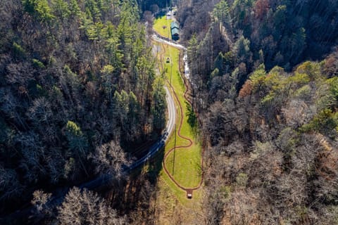 Attitude Adjustment by Eden Crest Chalet in Sevier County