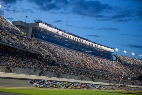 Swaying Palm Cabana by the Beach House in Palm Coast