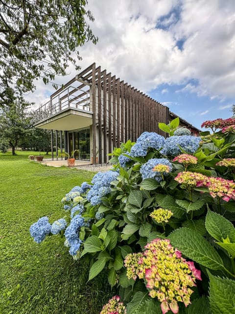 Spring, Day, Natural landscape, Garden, Garden view