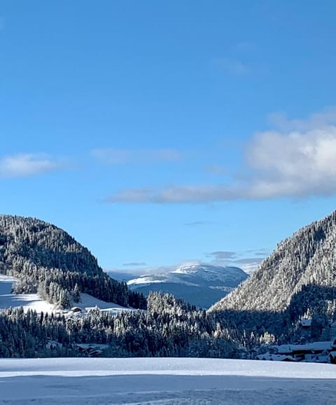 Winter, Mountain view