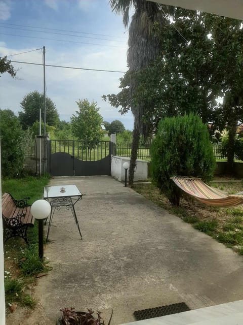 Day, Natural landscape, Garden