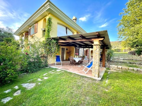 Patio, Garden, Garden view