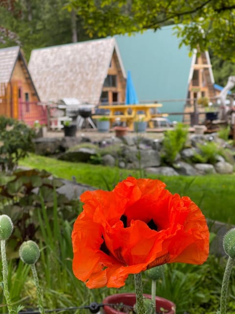 Fishermans Folly Chalet in Vancouver Island