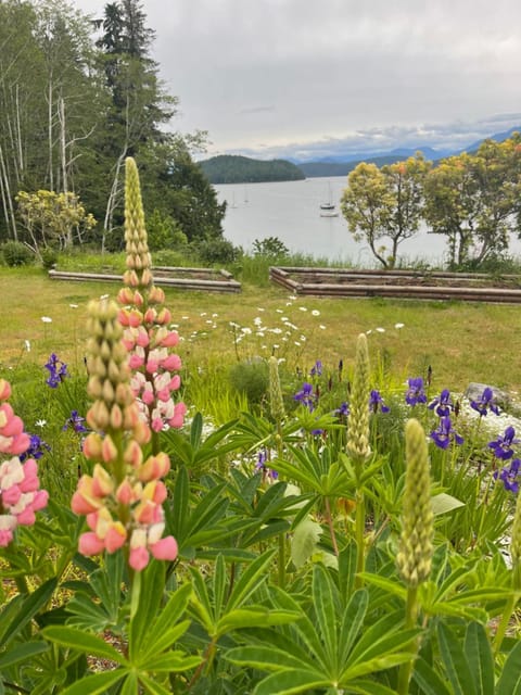 Fishermans Folly Chalet in Vancouver Island