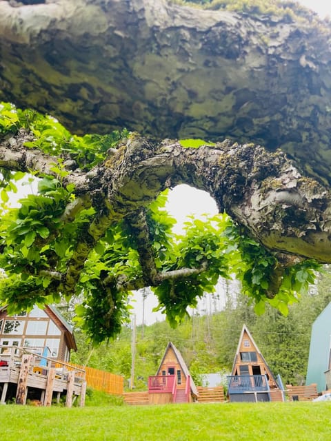 Fishermans Folly Chalet in Vancouver Island