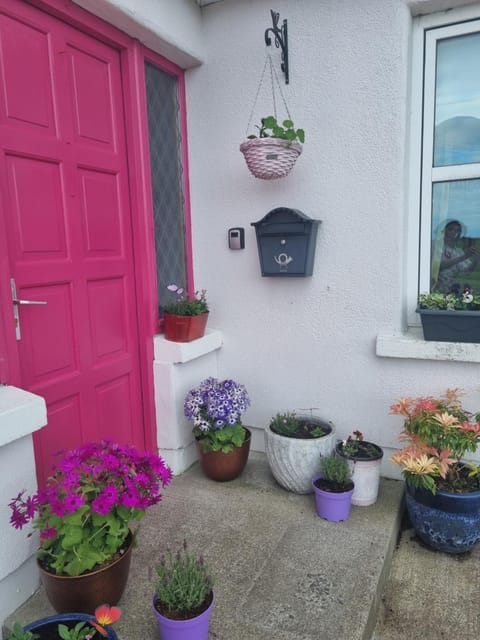 The Pink Door Vacation rental in County Mayo