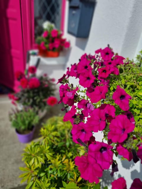 The Pink Door Vacation rental in County Mayo