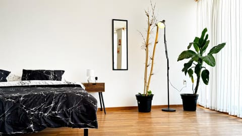 Estudio Centrico KING SIZE Wifi Apartment in Hidalgo, Mexico