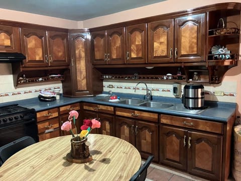 Kitchen or kitchenette, Internal: Not applicable to any particular room