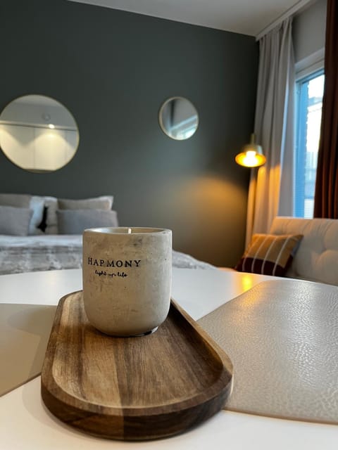 Moderni kaupunkiyksiö Apartment in Finland