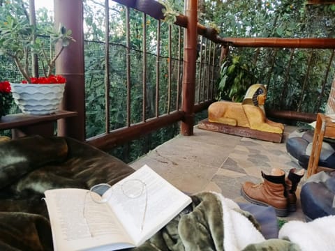 Patio, Natural landscape, Balcony/Terrace, Balcony/Terrace