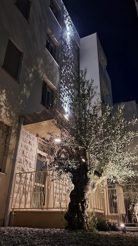 Property building, Facade/entrance, Night, Garden