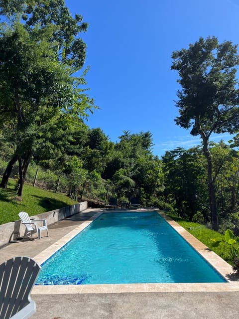 Natural landscape, Garden, Garden view, Pool view, Swimming pool, sunbed