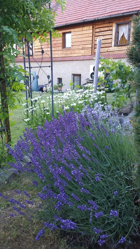 Garden, Garden view