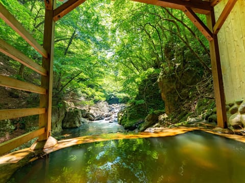 Open Air Bath, Public Bath