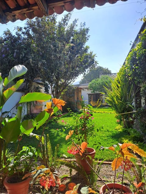 Day, Garden, Garden view