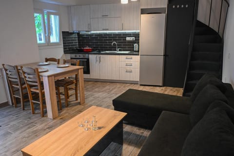Kitchen or kitchenette, Living room, Seating area, Dining area, Drinks, oven, stove