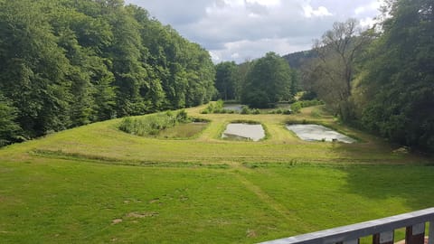 Garden, Garden view