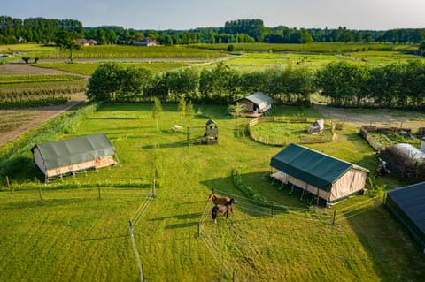 Glamping Hoeve Klein Haneveld Luxury tent in North Brabant (province)