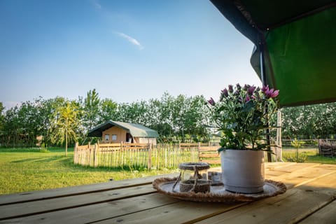 Inner courtyard view