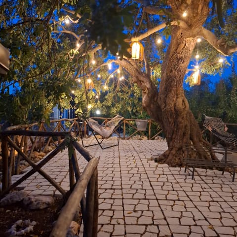 Night, Garden, Garden view