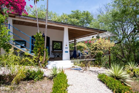 Property building, Spring, Garden