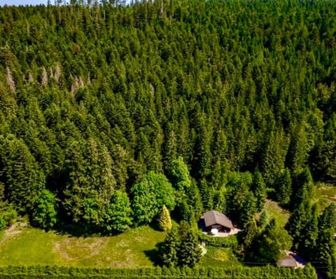 Little Paradise hidden from view Chalet in Gérardmer