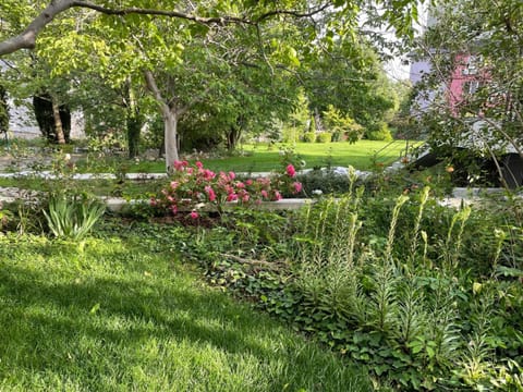 Garden, Garden view