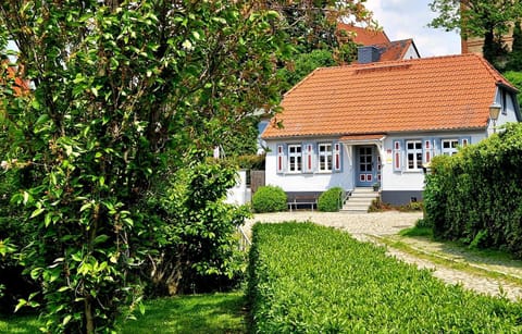 Property building, Spring
