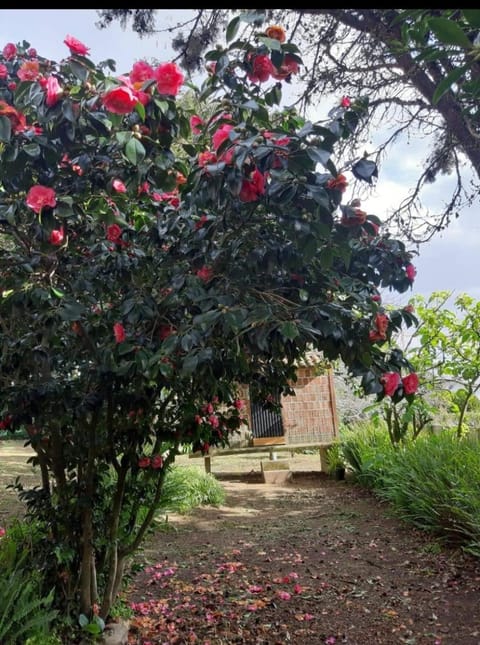Casa TINA House in Viana do Castelo District, Portugal