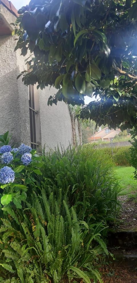 Casa TINA House in Viana do Castelo District, Portugal