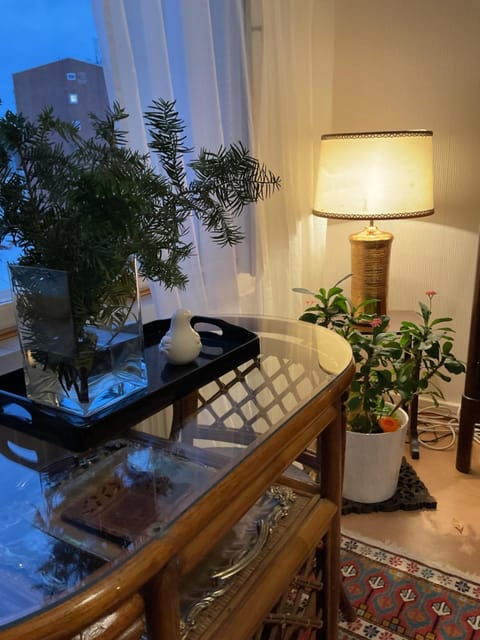 Retrohenkinen taiteilijakoti - Tampere Kaleva Apartment in Finland