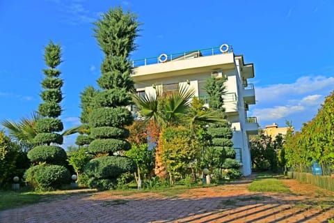 Natural landscape, Garden view
