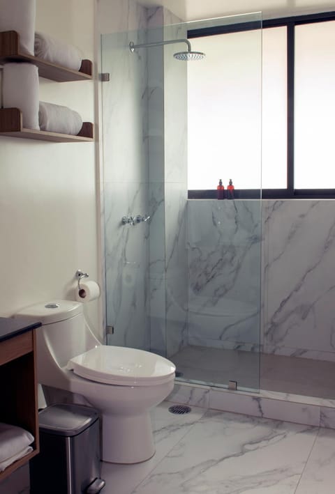 Lope 226, Polanco Apartment in Mexico City