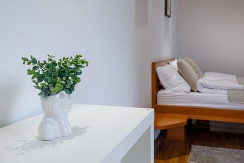 Special 2009 Apartment in Vojvodina