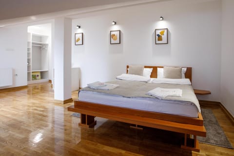 Special 2009 Apartment in Vojvodina