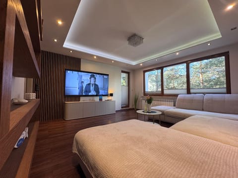 Communal lounge/ TV room, Bed, TV and multimedia, Living room, Photo of the whole room
