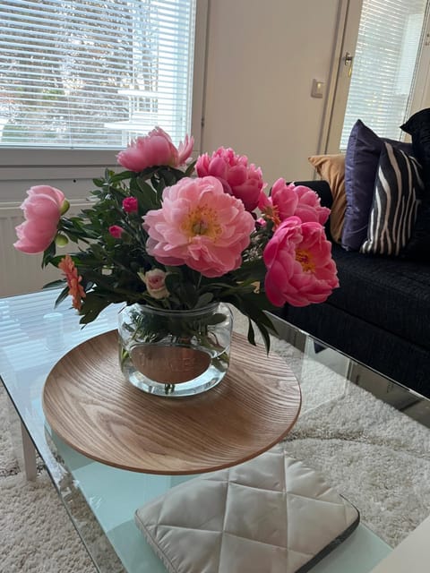 Kivakoti Apartment with sauna Apartment in Rovaniemi