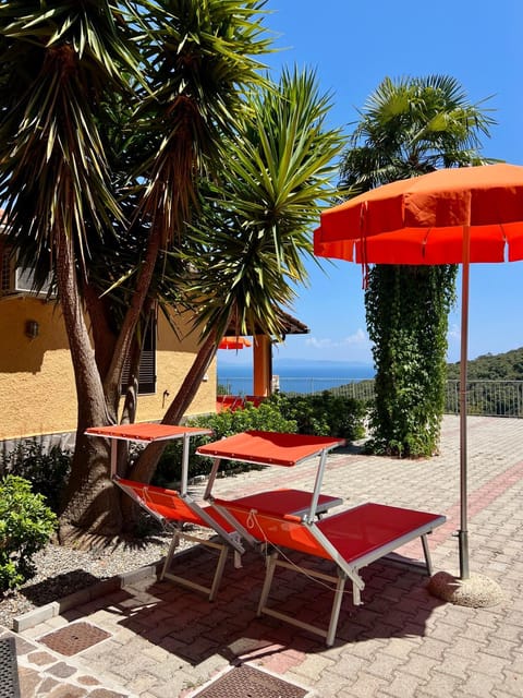 Patio, Spring, Day, Natural landscape, Sea view, sunbed