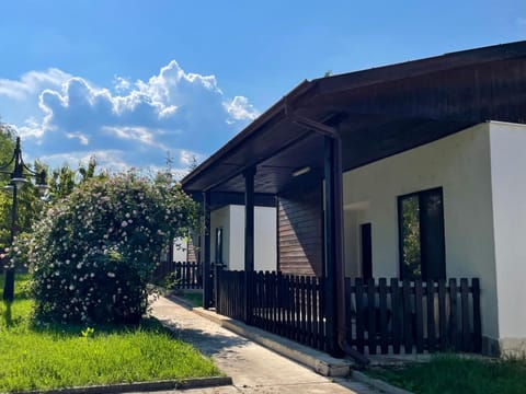 Property building, Garden, Garden view