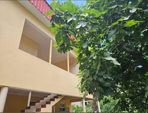 Garden, Balcony/Terrace