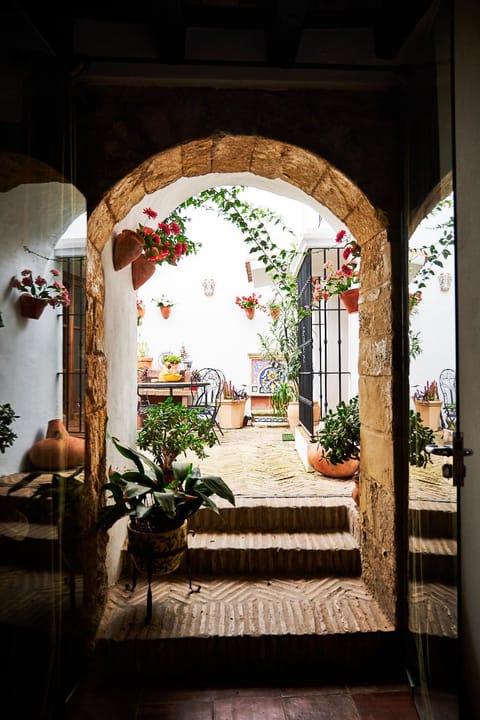 Patio, Garden, Garden, Garden view, Garden view